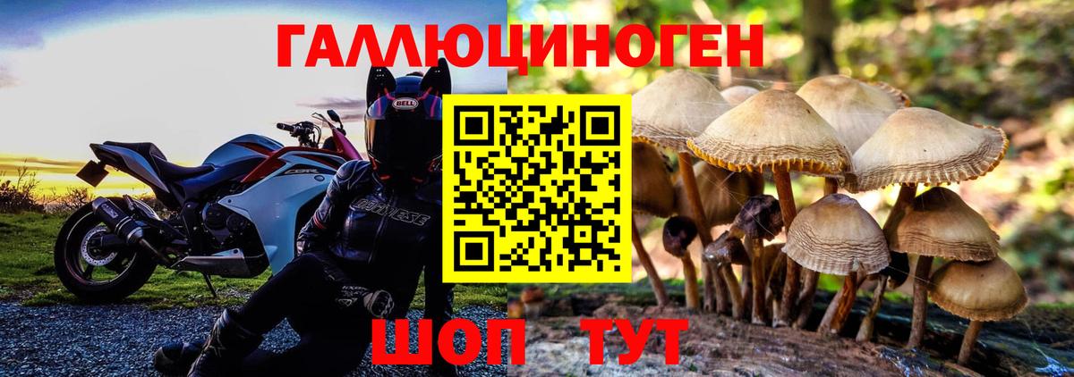 Псилоцибиновые грибы MAGIC MUSHROOMS Уссурийск