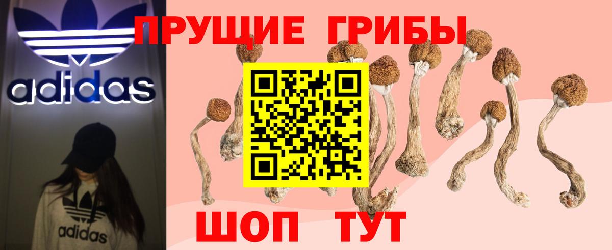 Галлюциногенные грибы мухоморы  Галлюциногенные грибы Psilocybine cubensis  Уссурийск  Вход с VPN 